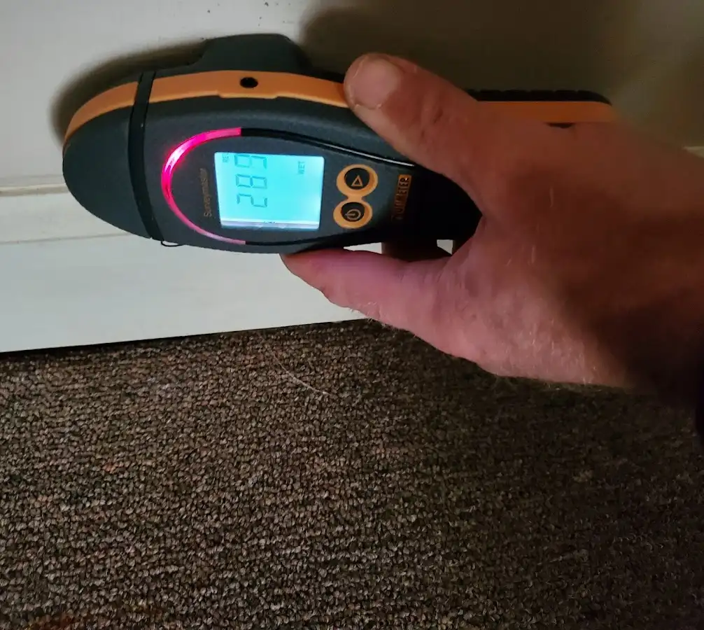 Moisture detection at baseboard during Mold Inspection & Testing in Derry